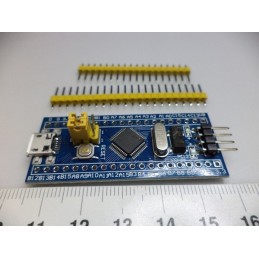 STM32 Sistem Geliştirme Kartı