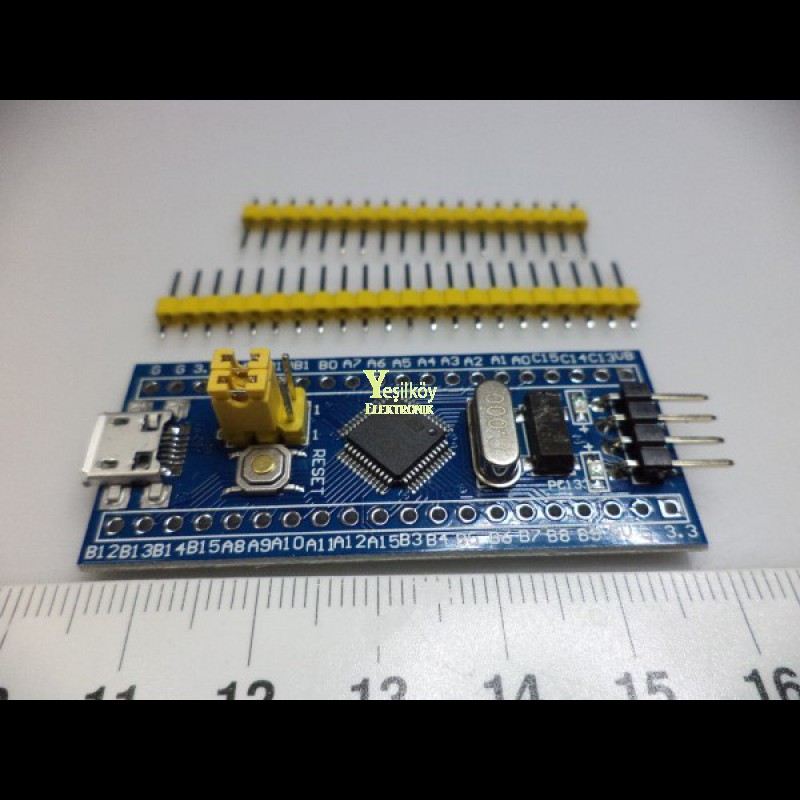 STM32 Sistem Geliştirme Kartı