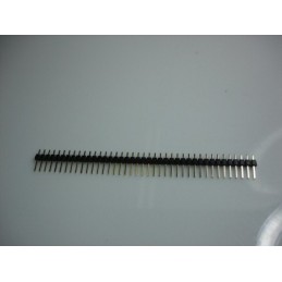 40 pin header