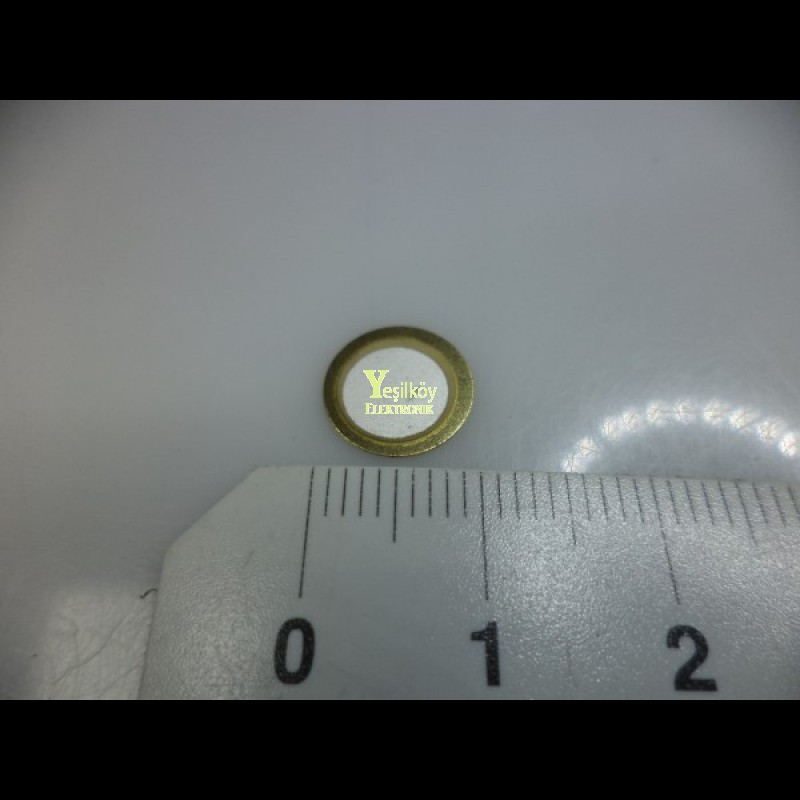 10mm Piezo 10mm Piezo