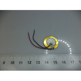 20mm Kablolu Piezo Buzzer