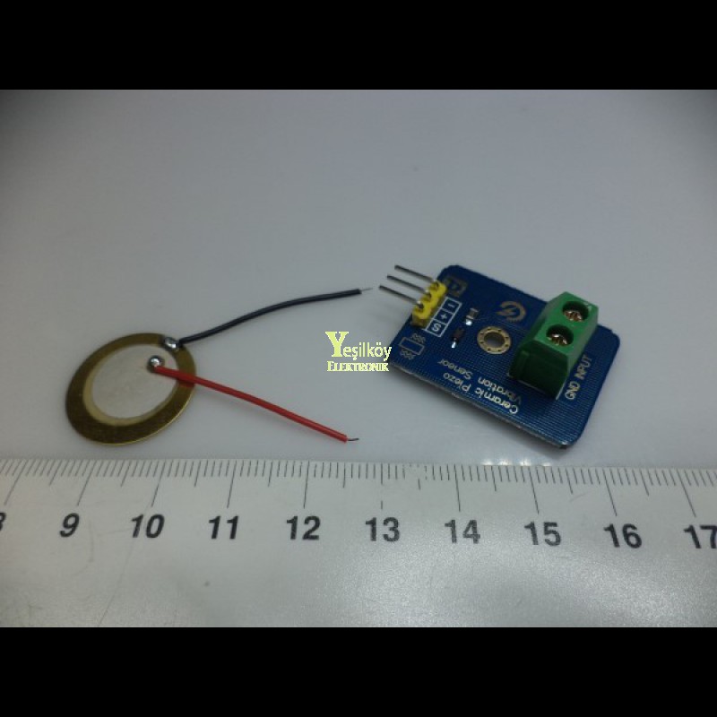 20mm Piezo Modül