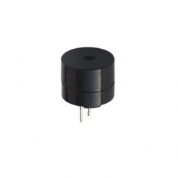 Buzzer 12 Volt 10 mm DEVRELi