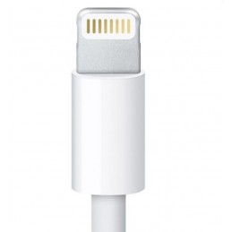 Lightning Erkek Soket Seyyar Kapaklı